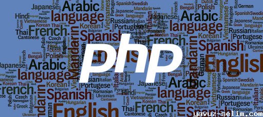 PHP&PDO Dinamik Çoklu Dil Sistemi