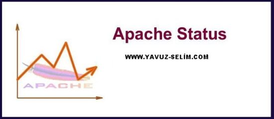Apache Status Kurulumu