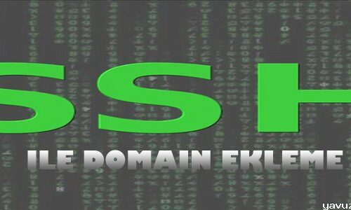 cpanel-ssh-ile-domain-eklemek