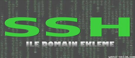 Cpanel Ssh İle Domain Eklemek