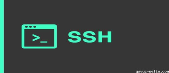 SSH ile Mysql Veritabanı ve Kullanıcı Oluşturma